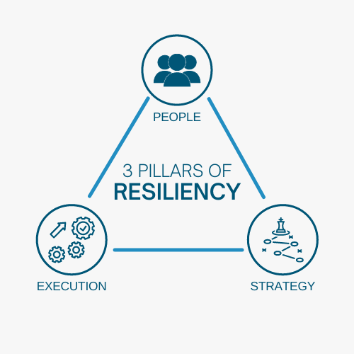 3 pillars of a resilient business